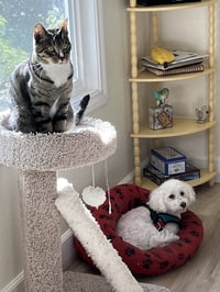 Josie - Photo 4