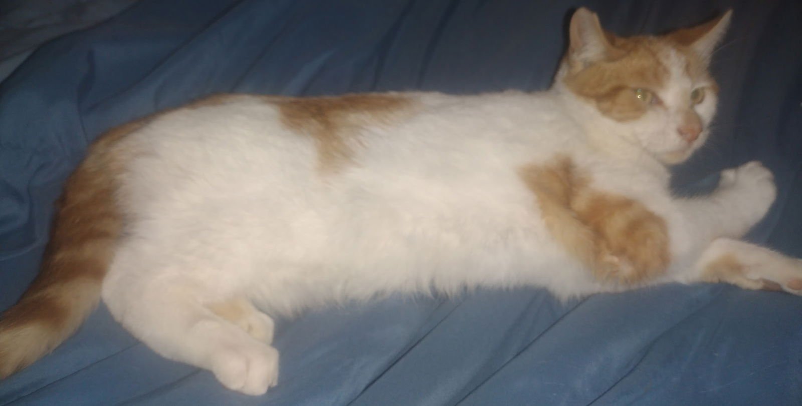 Pleasant courtesy post - Photo 3