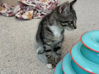 Eloise - Photo 9