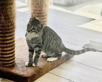 Eloise - Photo 4