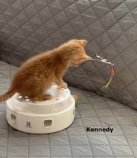 Kennedy - Photo 3