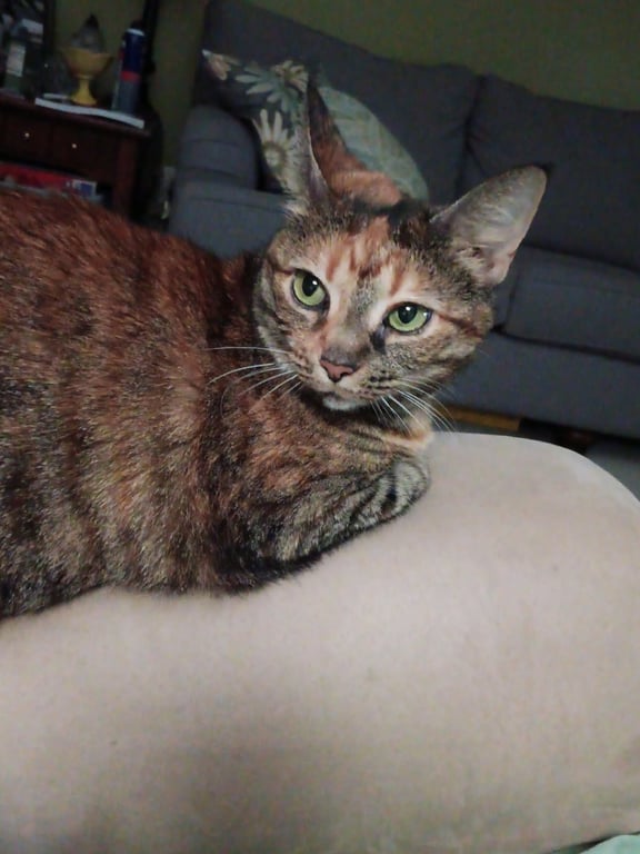 Minji Image