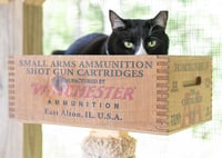 Friskies - Photo 5