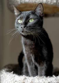 Friendly - Photo 2