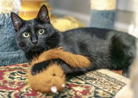Friendly - Photo 4