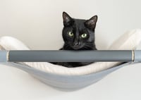 Friendly - Photo 5