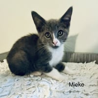 Mieke - Photo 1
