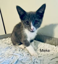 Mieke - Photo 2