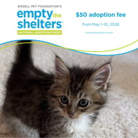 REDDY* - Photo 1