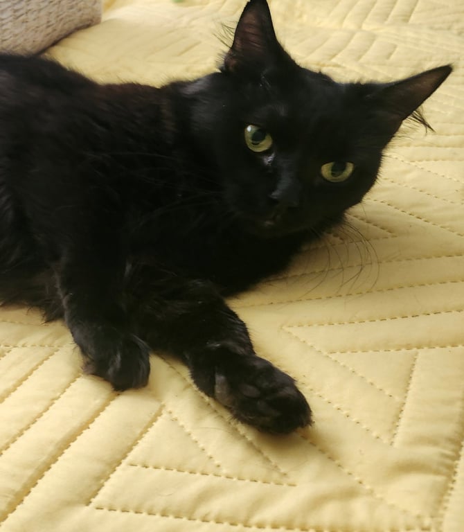 Teagan Image