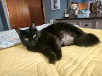 Teagan - Photo 4
