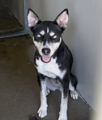 LILY - Photo 1