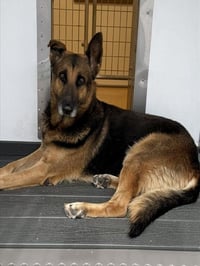 CASPIAN - Photo 1
