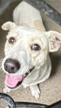 OSO - Photo 1