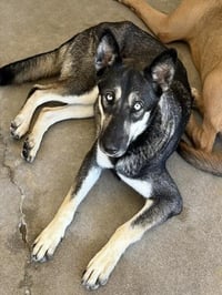 PENNY - Photo 1