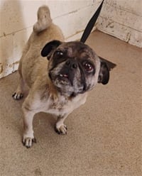 BONITA - Photo 1