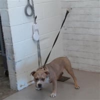 CHAPO - Photo 1