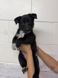 TINY - Photo 1