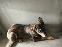 PHIL - Photo 1