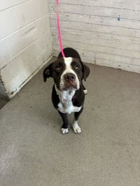 BERT - Photo 1