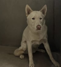 LINK - Photo 1