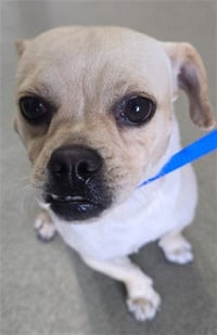 TUCKER - Photo 1