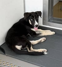 NOVA - Photo 1