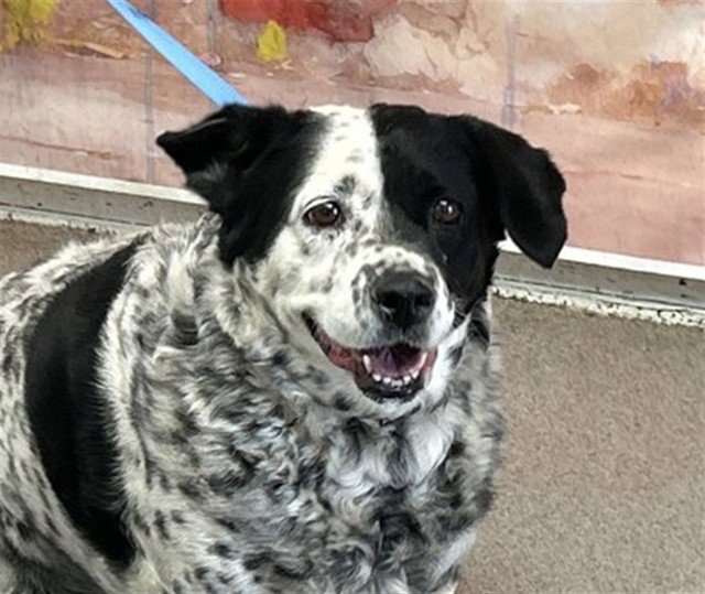 MAISIE MAE Image