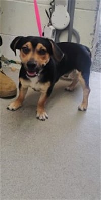 OPIE - Photo 1