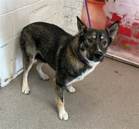 JOYCE - Photo 1
