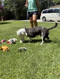 AXEL - Photo 3
