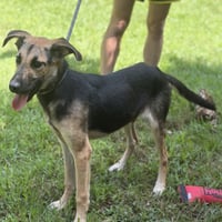 CARTER - Photo 3
