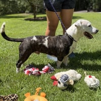 Axel - Photo 2