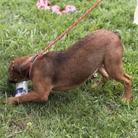 Winifred - Photo 4