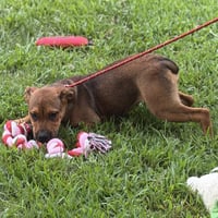 Winifred - Photo 2