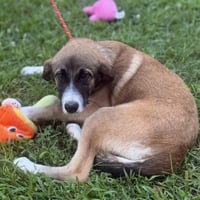 Bubbles - Photo 3