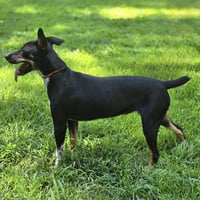 Daisey - Photo 3