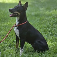 Daisey - Photo 4