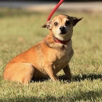 NELLY - Photo 4