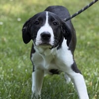 TAFFY - Photo 1