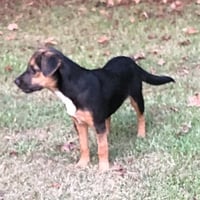 Wilma - Photo 3