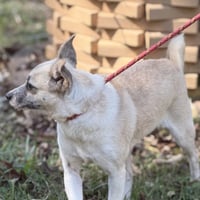 WOODY - Photo 2