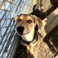 COCO HOPE  LOWER FEE! - Photo 1