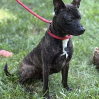 Zeus - Photo 3
