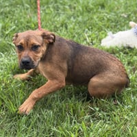WINIFRED - Photo 3