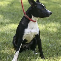 Buzz - Photo 3
