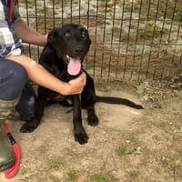 FINN HOPE - Photo 2