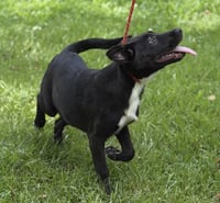 TATER - Photo 3