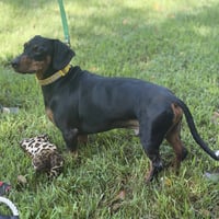 BUDD - Photo 3
