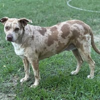 Bernadette - Photo 4